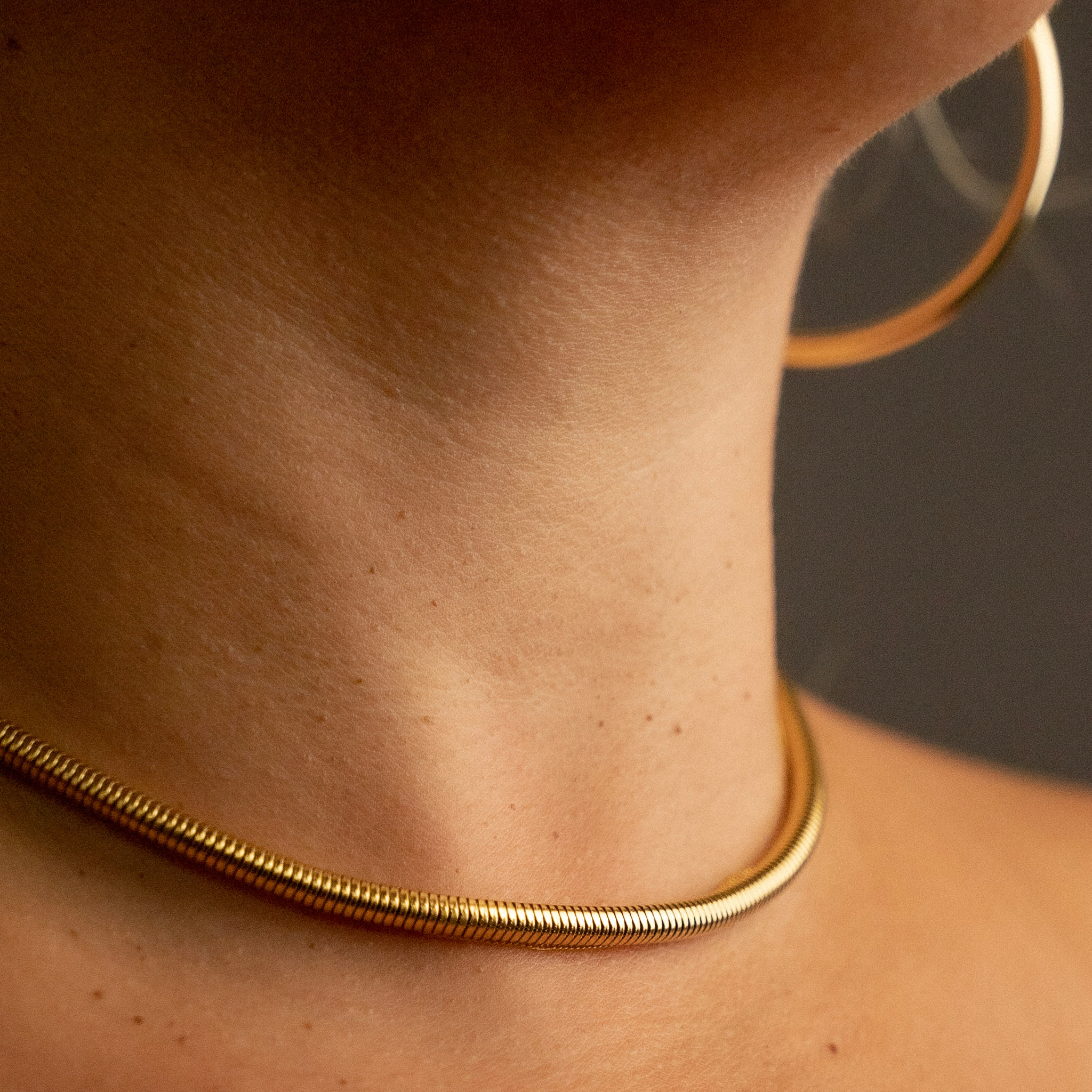 Snake Chain Necklace