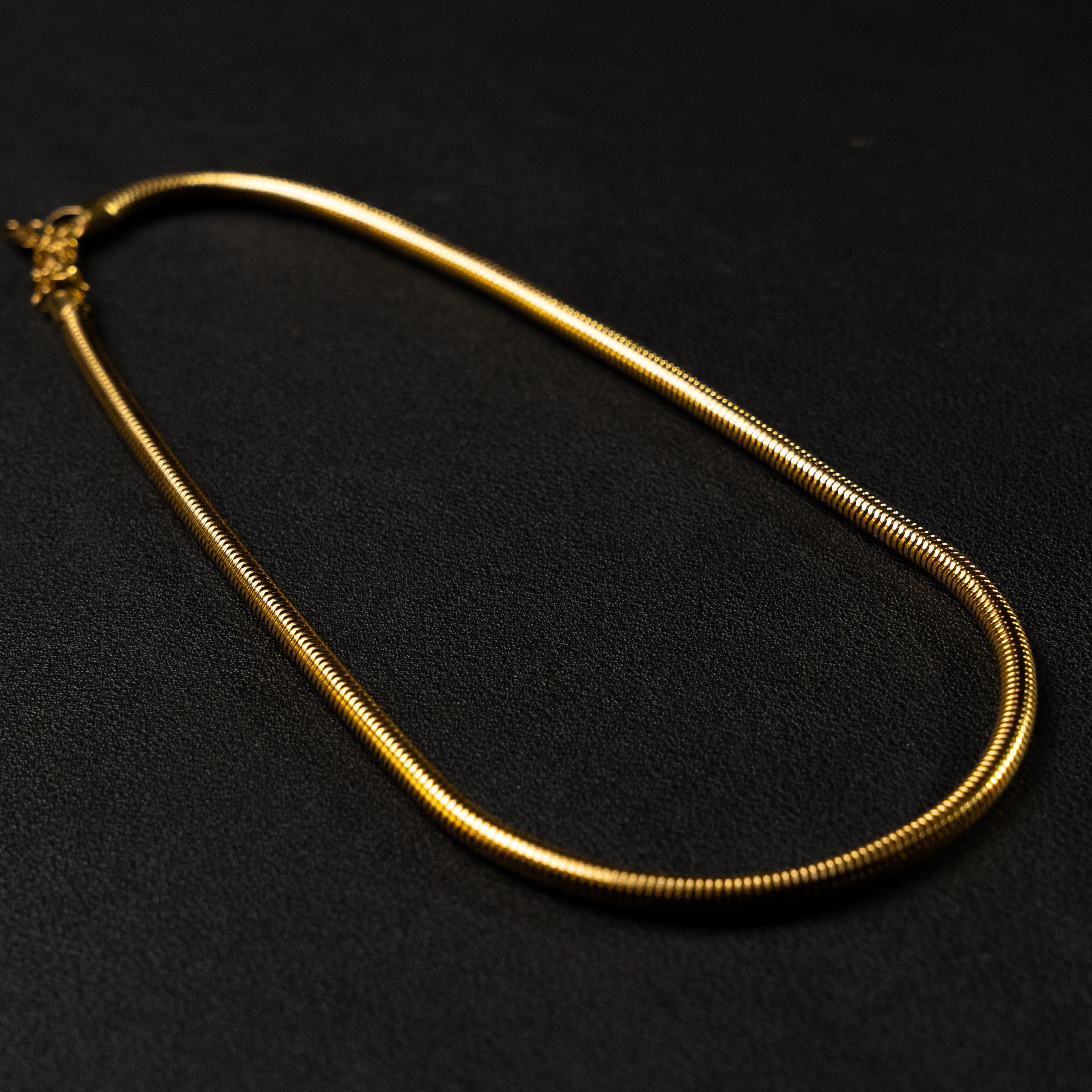 Snake Chain Necklace